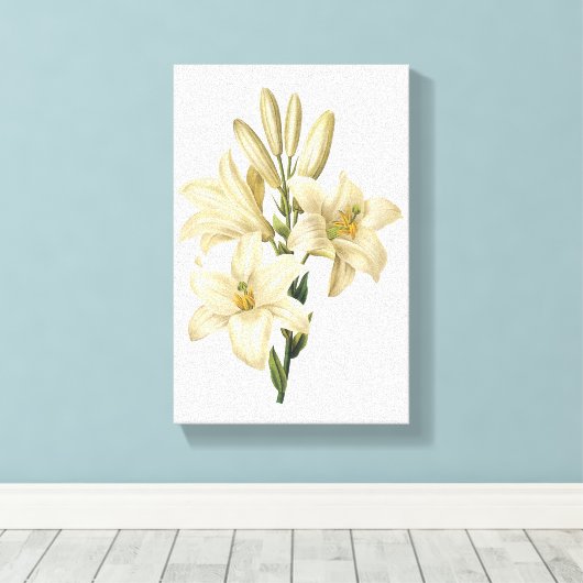 Witte likeur (Lilium candidum) van Redouté Canvas Afdruk (Insitu (Houten vloer))
