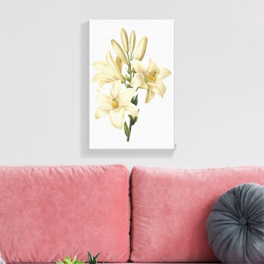 Witte likeur (Lilium candidum) van Redouté Canvas Afdruk (Insitu (Woonkamer))