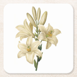 Witte likeur (Lilium candidum) van Redouté Kartonnen Onderzetters
