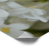 Witte Lila bloemen Poster (Hoek)