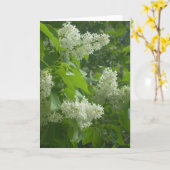 Witte Lila kaart (Gele Bloem)