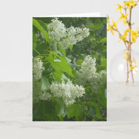 Witte Lila kaart (Gele Bloem)