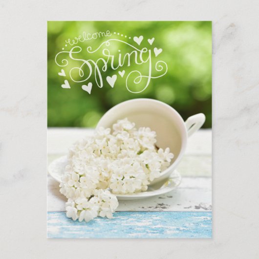 Witte Lilacs Spring bloemen Stilllife Floral Text Briefkaart (Voorkant)