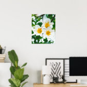 Witte lileuven - Lilium candidum Poster (Thuiskantoor)