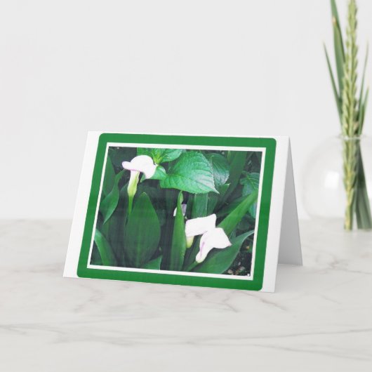 WITTE LILLIES KAART (Voorkant)