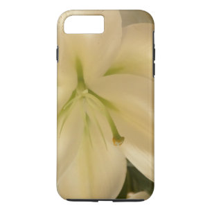Witte Lillum Bloem Foto iPhone 7 Plus, Stoer Case-Mate iPhone Case
