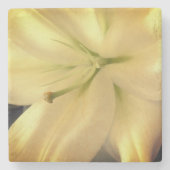 Witte Lillum Bloem Foto Marmeren Steen Onderzetter (Voorkant)