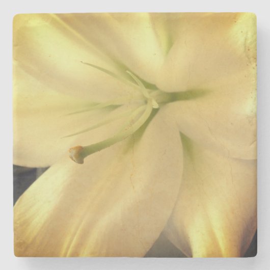 Witte Lillum Bloem Foto Marmeren Steen Onderzetter (Voorkant)