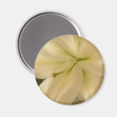 Witte Lillum Bloem Foto ronde magneet (Voorkant / Achterkant)