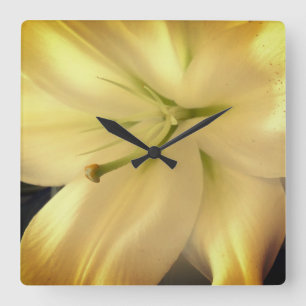 Witte Lillum Bloem Foto Vierkante Wandklok