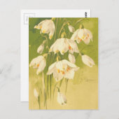 -witte Lily van de vallei Briefkaart (Voorkant / Achterkant)