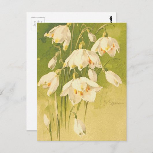 -witte Lily van de vallei Briefkaart (Voorkant / Achterkant)