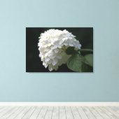 Witte Lime Hortensia Bloem Canvasprint Canvas Afdruk (Insitu (Houten vloer))