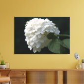 Witte Lime Hortensia Bloem Canvasprint Canvas Afdruk (Insitu (Woonkamer))