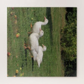 witte linzen, eenden in de wei, gezond eten legpuzzel (Horizontaal)