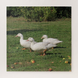 witte linzen, eenden in de wei, gezond eten legpuzzel