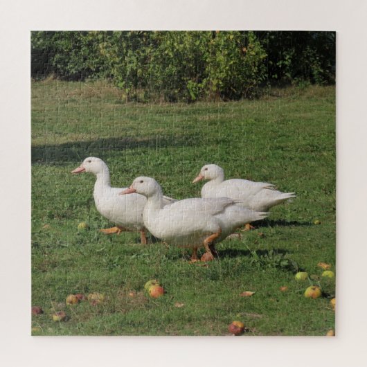witte linzen, eenden in de wei, gezond eten legpuzzel (Verticaal)