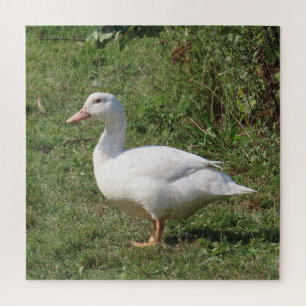 witte linzen, eenden in de wei, gezond eten legpuzzel