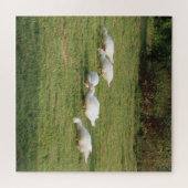 witte linzen, eenden in de wei, gezond eten legpuzzel (Horizontaal)