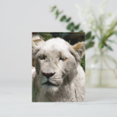 WITTE LIONS BRIEFKAART (Staand voorkant)