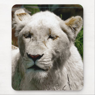 WITTE LIONS MUISMAT