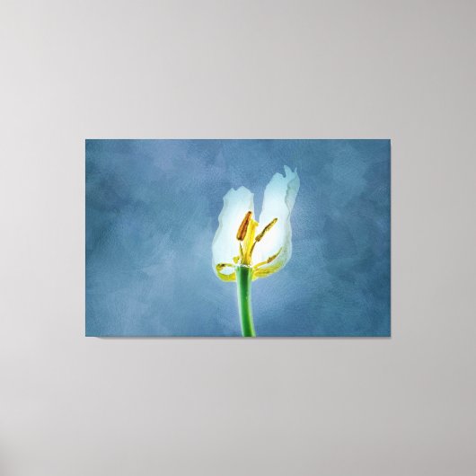 Witte lippenbloem canvas afdruk (Voorkant)