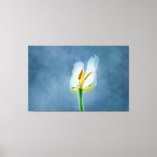 Witte lippenbloem canvas afdruk
