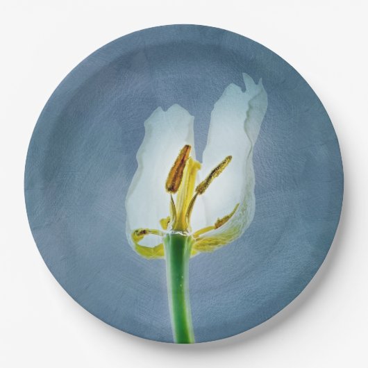 Witte lippenbloem papieren bordje (Voorkant)