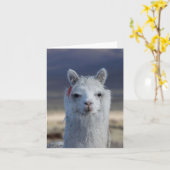 Witte Llama Alpaca Close-up Head Note Kaart (Gele Bloem)