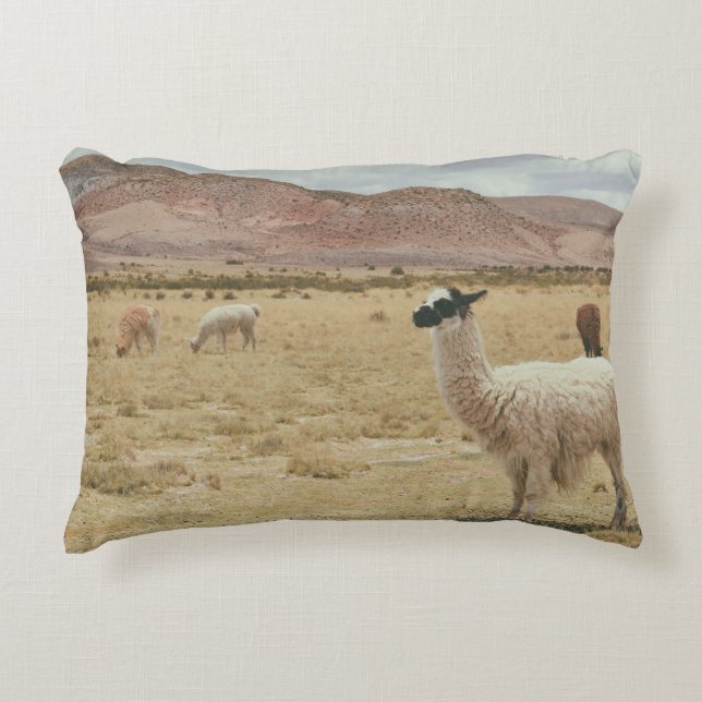 WITTE LLAMA OP BROWN GRASS ACCENT KUSSEN (Voorkant)