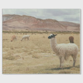 WITTE LLAMA OP BROWN GRASS CADEAUPAPIER (Vlak)
