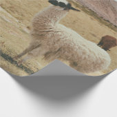 WITTE LLAMA OP BROWN GRASS CADEAUPAPIER (Hoek)