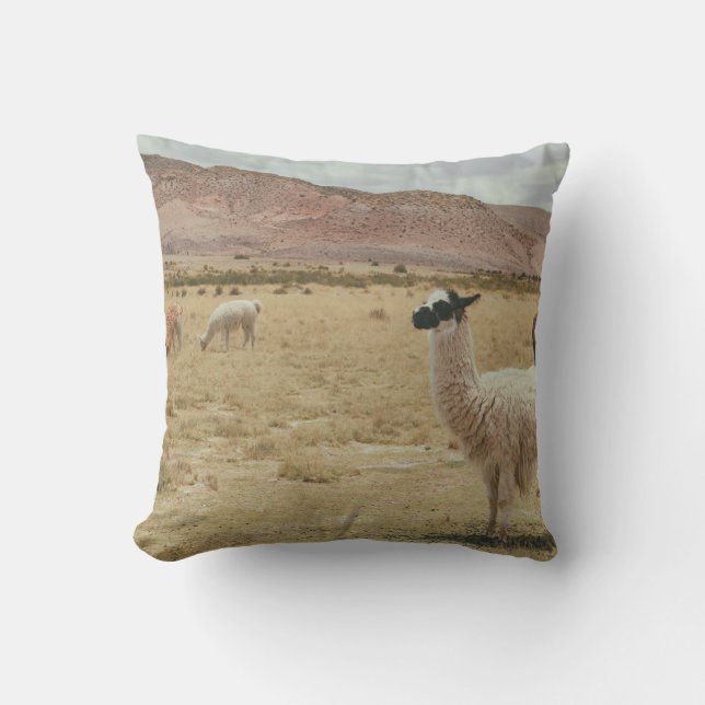 WITTE LLAMA OP BROWN GRASS KUSSEN (Voorkant)