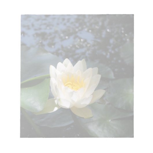 Witte Lotus bloem foto - Notitieblok (Voorkant)