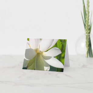 Witte Lotus Bloem Gevouwen Dank u kaart