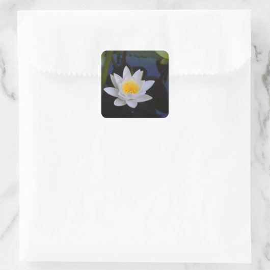 Witte Lotus Bloem Stickers (Tas)