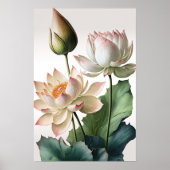 Witte Lotus Bloemen Art Print Poster (Voorkant)