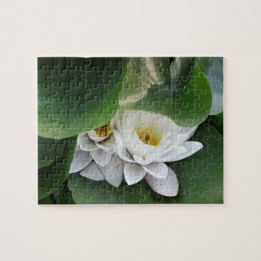 Witte Lotus Bloemen, Botanisch Legpuzzel (Horizontaal)