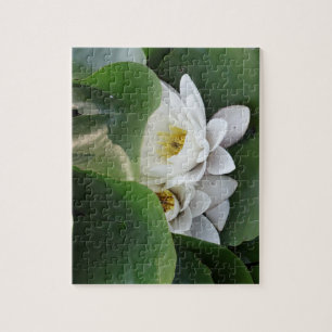 Witte Lotus Bloemen, Botanisch Legpuzzel