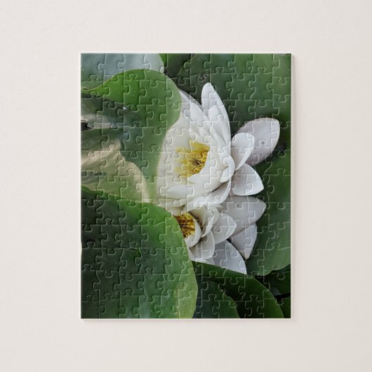 Witte Lotus Bloemen, Botanisch Legpuzzel (Verticaal)