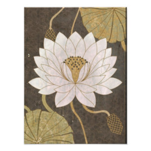 Witte Lotus bloesems temidden van rustige wateren Foto Afdruk