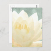 Witte Lotus Briefkaart (Voorkant / Achterkant)