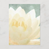 Witte Lotus Briefkaart (Voorkant)