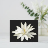 Witte lotus briefkaart (Staand voorkant)
