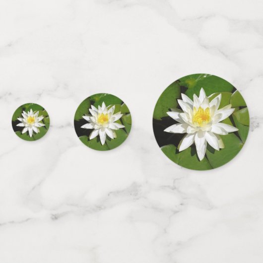Witte Lotus Confetti (Achterkanten)