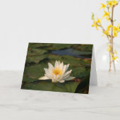 Witte Lotus Flower Kaart (Gele Bloem)