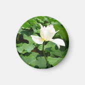 Witte Lotus Flower Magneet (Voorkant)