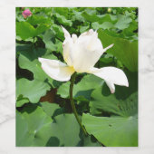 Witte Lotus Flower Wijn Etiket (Enkel label)