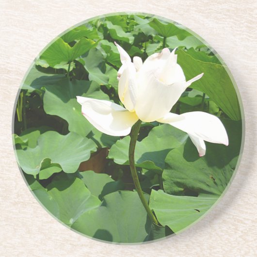 Witte Lotus Flower Zandsteen Onderzetter (Voorkant)