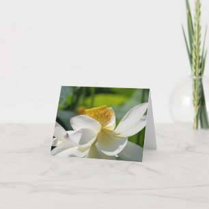 Witte Lotus gevouwen bedankkaart